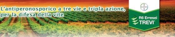 r6 trevi.jpg